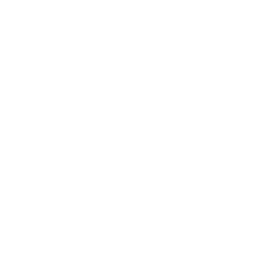 PP
